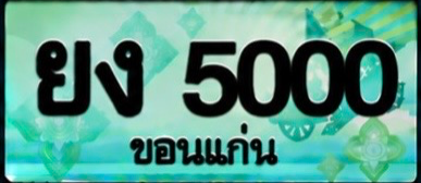 ป้ายทะเบียน ยง 5000 ขอนแก่น