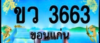 ป้ายทะเบียน ขว 3663 ขอนแก่น